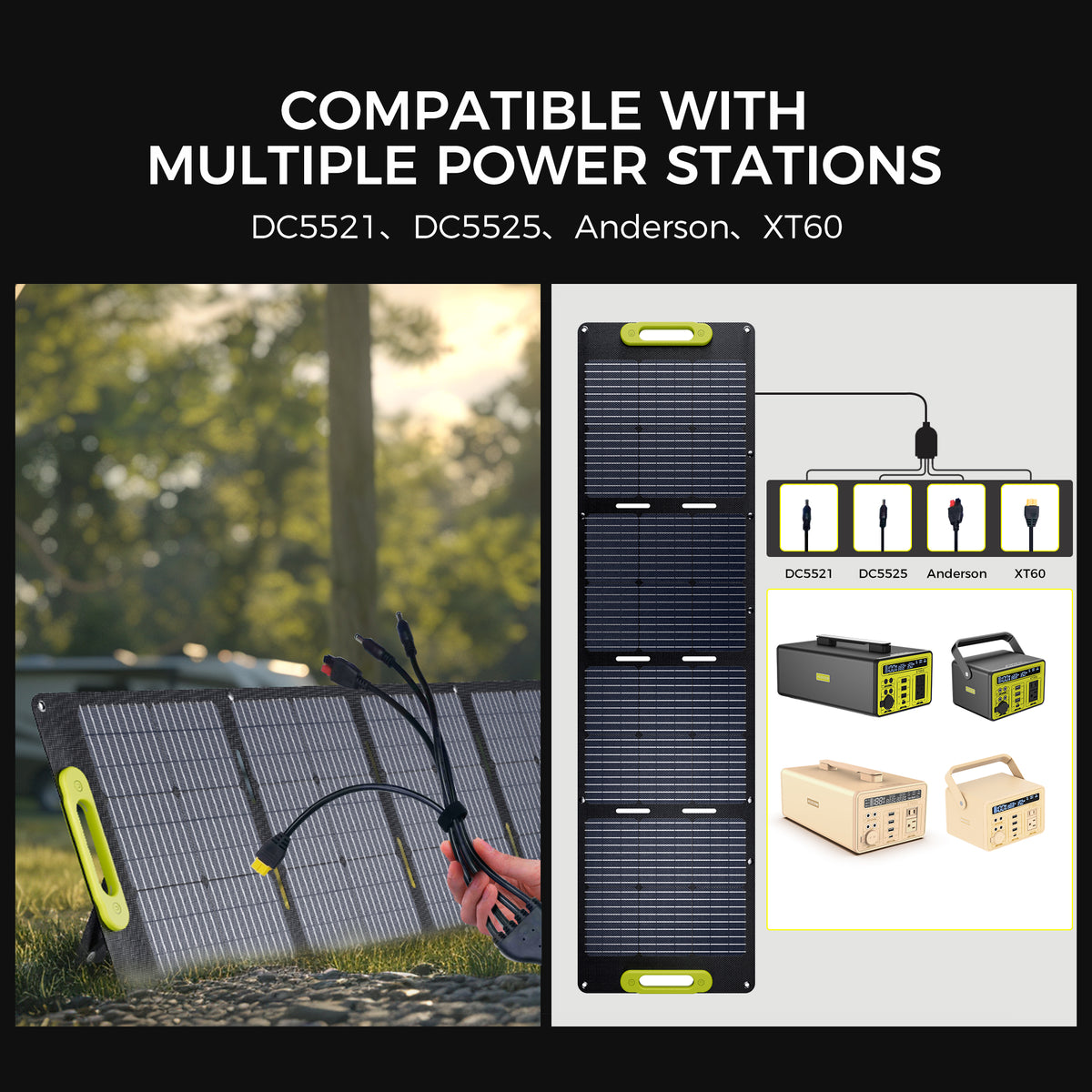 Solar Panel SP100